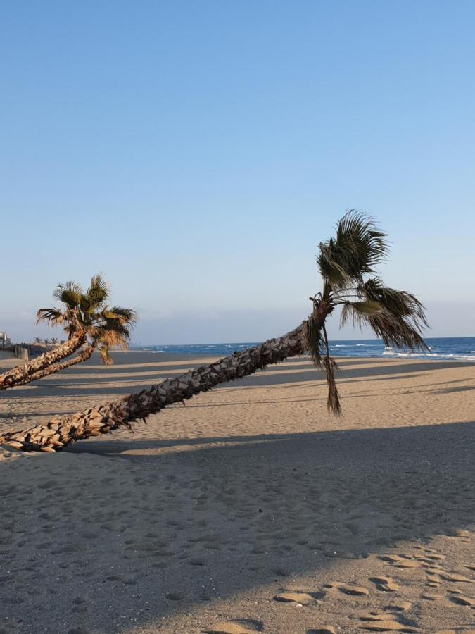 Reve Mediterraneen, La Vie De Chateau Le Barcares Luaran gambar